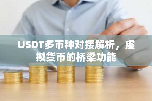 USDT多币种对接解析，虚拟货币的桥梁功能