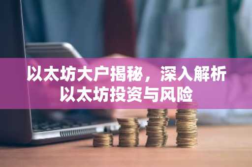以太坊大户揭秘，深入解析以太坊投资与风险