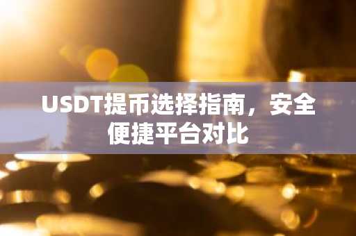 USDT提币选择指南，安全便捷平台对比
