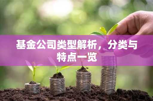 基金公司类型解析，分类与特点一览