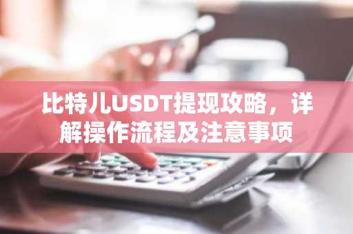 比特儿USDT提现攻略，详解操作流程及注意事项
