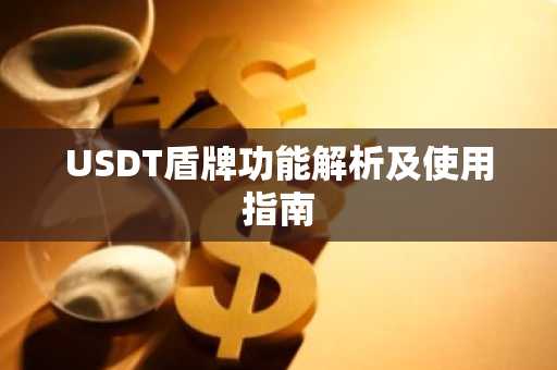 USDT盾牌功能解析及使用指南