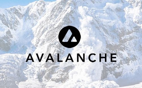 12月8日币圈早报：马斯克评Block的自托管钱包 AVA成为市值第10大加密货币