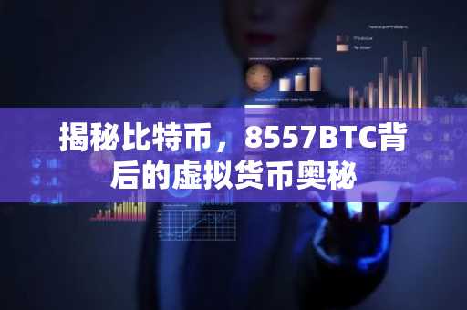 揭秘比特币，8557BTC背后的虚拟货币奥秘