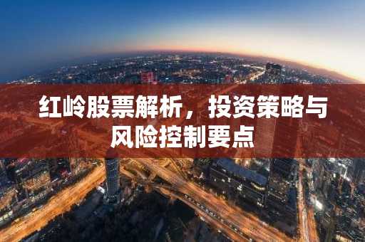 红岭股票解析，投资策略与风险控制要点