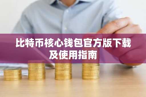 比特币核心钱包官方版下载及使用指南