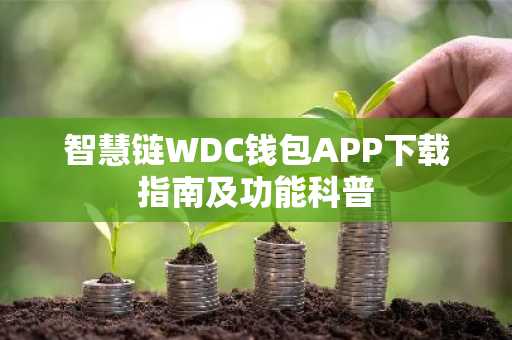 智慧链WDC钱包APP下载指南及功能科普