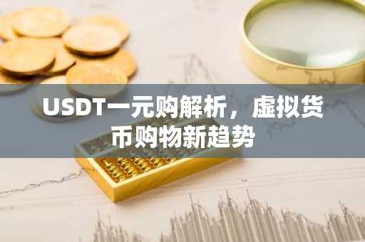 USDT一元购解析，虚拟货币购物新趋势