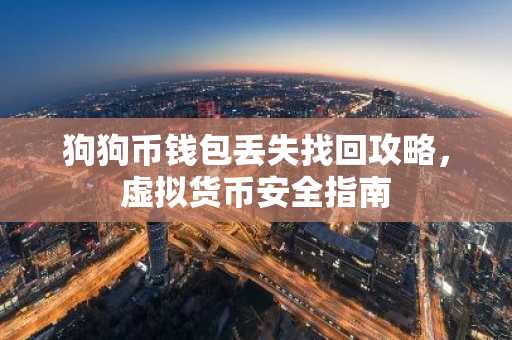 狗狗币钱包丢失找回攻略，虚拟货币安全指南