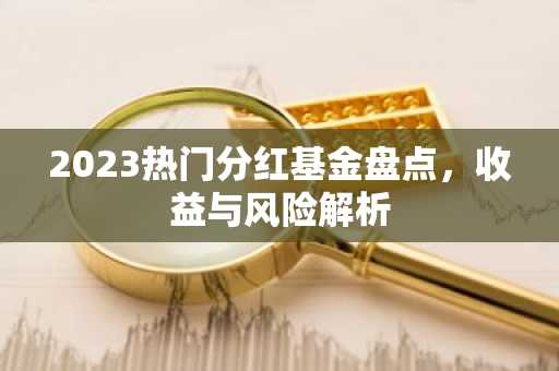 2023热门分红基金盘点，收益与风险解析