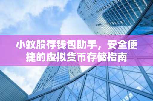 小蚁股存钱包助手，安全便捷的虚拟货币存储指南