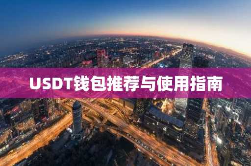 USDT钱包推荐与使用指南