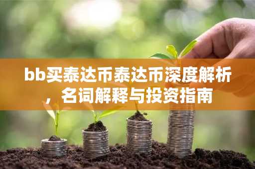 bb买泰达币泰达币深度解析，名词解释与投资指南