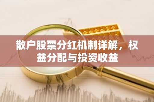 散户股票分红机制详解，权益分配与投资收益