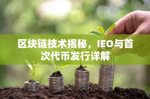 区块链技术揭秘，IEO与首次代币发行详解