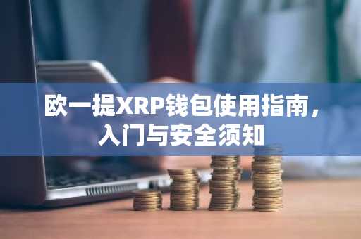 欧一提XRP钱包使用指南，入门与安全须知