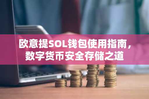 欧意提SOL钱包使用指南，数字货币安全存储之道