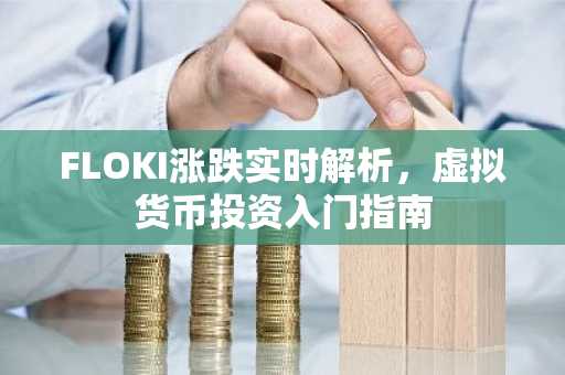 FLOKI涨跌实时解析，虚拟货币投资入门指南