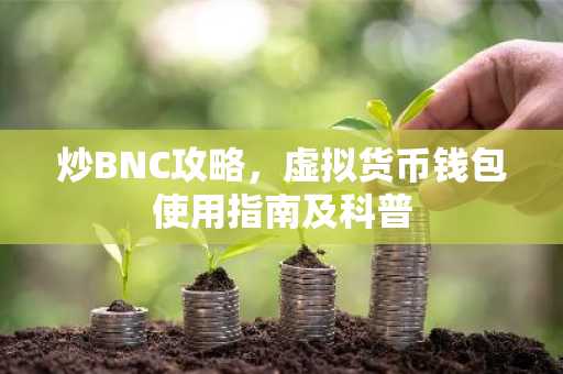 炒BNC攻略，虚拟货币钱包使用指南及科普