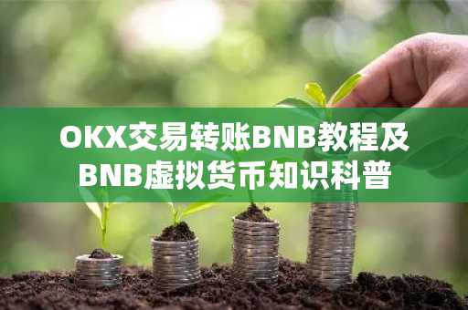 OKX交易转账BNB教程及BNB虚拟货币知识科普