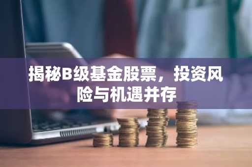 揭秘B级基金股票，投资风险与机遇并存