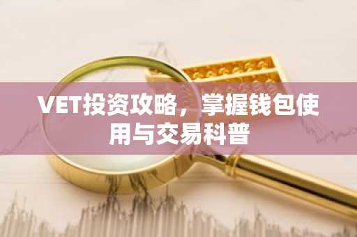 VET投资攻略，掌握钱包使用与交易科普