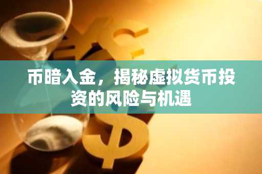 币暗入金，揭秘虚拟货币投资的风险与机遇