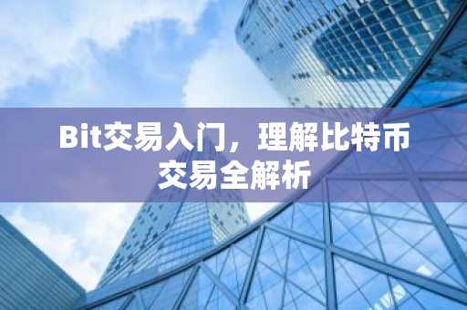 Bit交易入门，理解比特币交易全解析