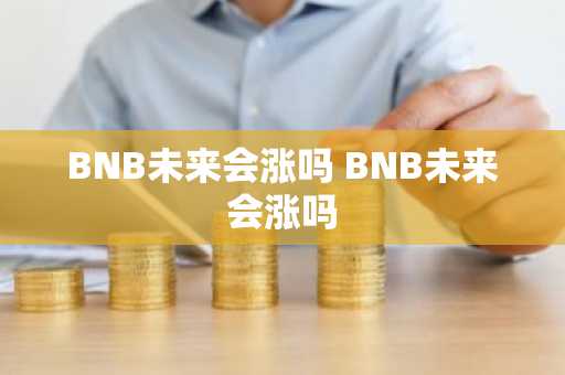 BNB未来会涨吗 BNB未来会涨吗