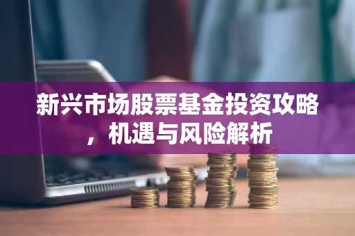 新兴市场股票基金投资攻略，机遇与风险解析