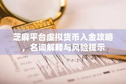 芝麻平台虚拟货币入金攻略，名词解释与风险提示