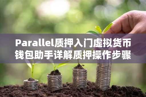 Parallel质押入门虚拟货币钱包助手详解质押操作步骤