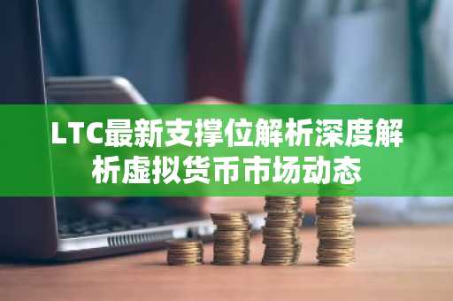 LTC最新支撑位解析深度解析虚拟货币市场动态