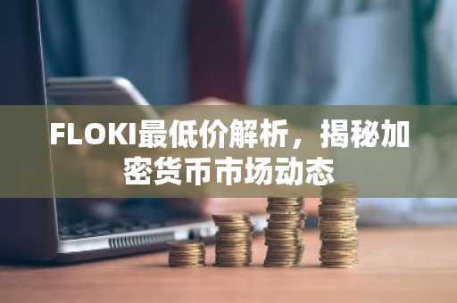FLOKI最低价解析，揭秘加密货币市场动态