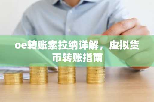 oe转账索拉纳详解，虚拟货币转账指南