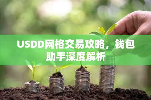 USDD网格交易攻略，钱包助手深度解析