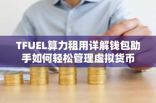 TFUEL算力租用详解钱包助手如何轻松管理虚拟货币