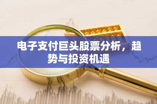 电子支付巨头股票分析，趋势与投资机遇