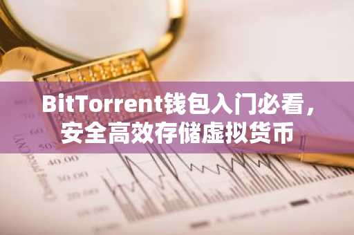 BitTorrent钱包入门必看，安全高效存储虚拟货币