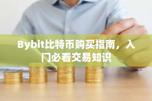 Bybit比特币购买指南，入门必看交易知识