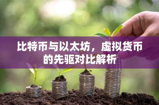 比特币与以太坊，虚拟货币的先驱对比解析