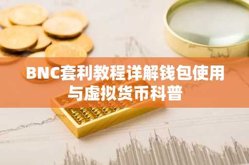 BNC套利教程详解钱包使用与虚拟货币科普
