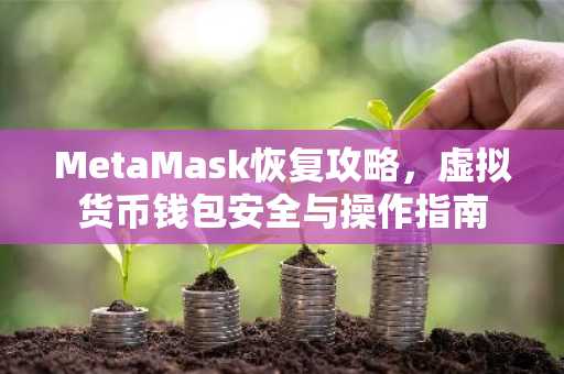 MetaMask恢复攻略，虚拟货币钱包安全与操作指南