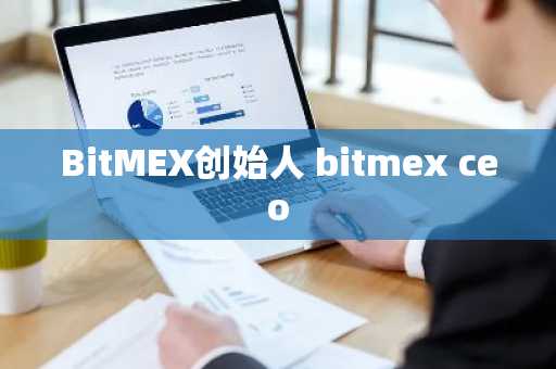 BitMEX创始人 bitmex ceo