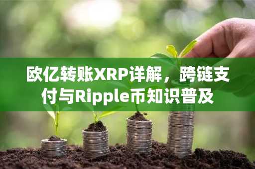 欧亿转账XRP详解，跨链支付与Ripple币知识普及