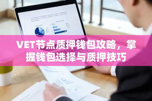 VET节点质押钱包攻略，掌握钱包选择与质押技巧