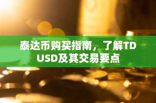 泰达币购买指南，了解TDUSD及其交易要点