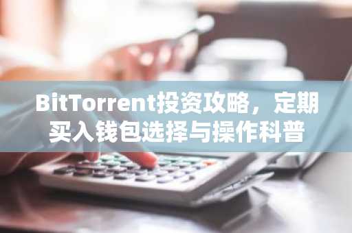 BitTorrent投资攻略，定期买入钱包选择与操作科普