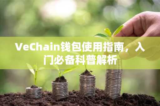 VeChain钱包使用指南，入门必备科普解析