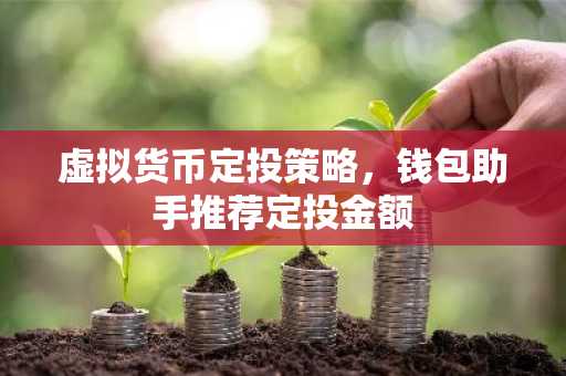 虚拟货币定投策略，钱包助手推荐定投金额